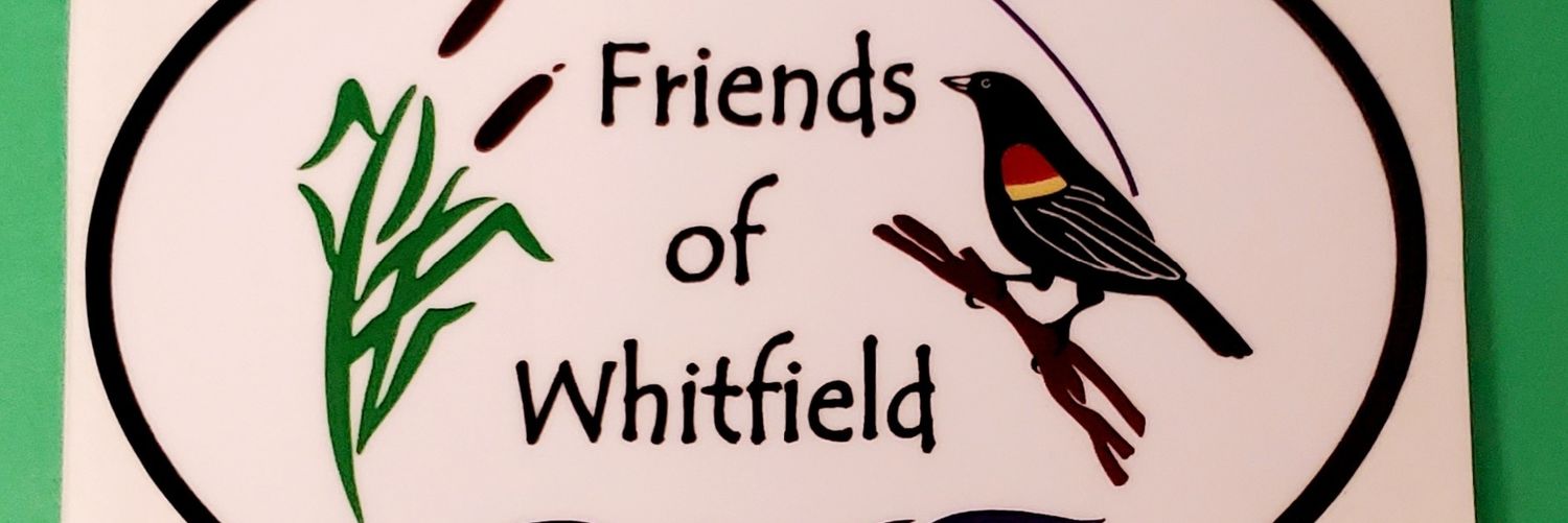 pamnmdolphin's profile banner image