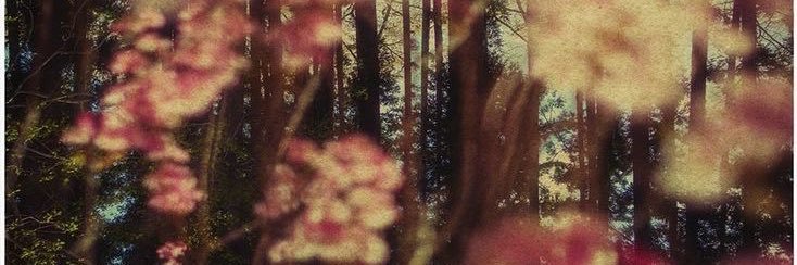 lnhortega's profile banner image