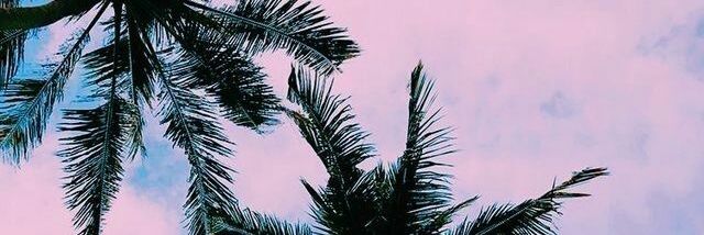 67Stefy19's profile banner image