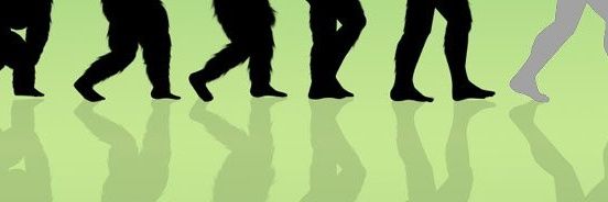 V banner