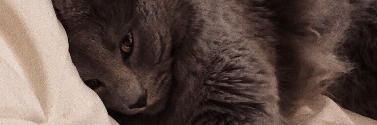 emmorgann's profile banner image