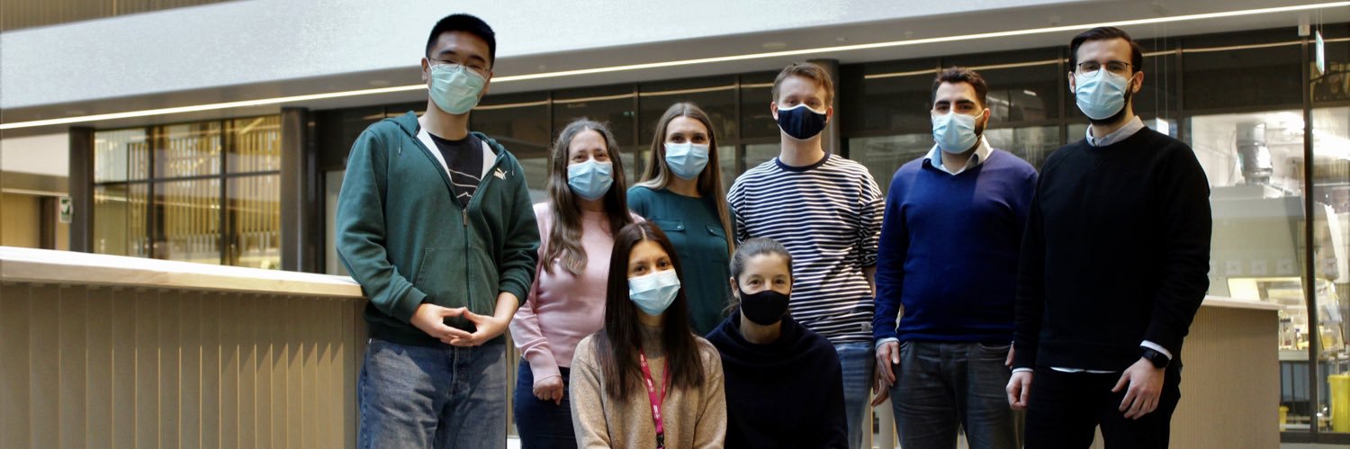 Kirsty Spalding banner