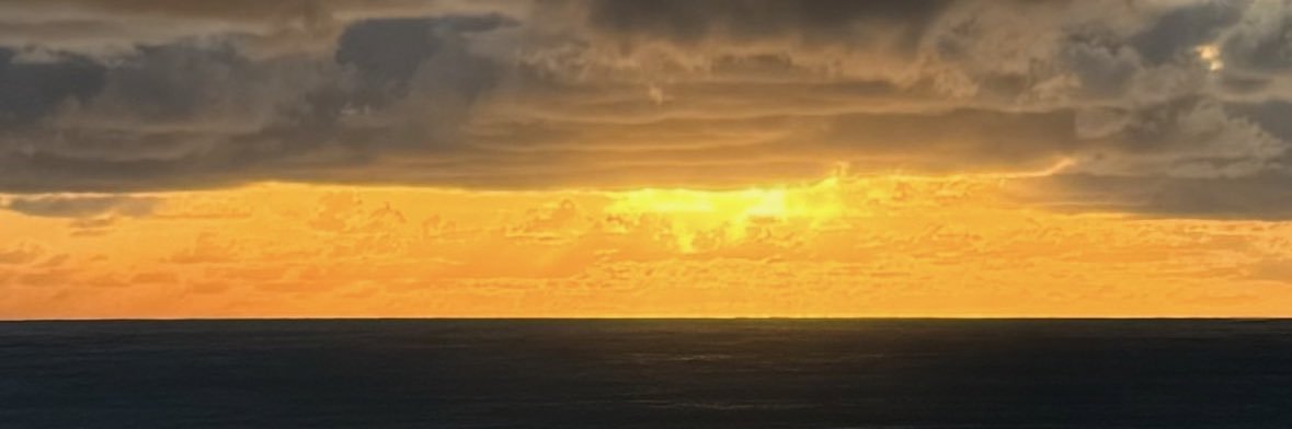 belissas's profile banner image