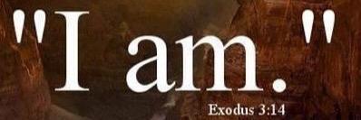ambermillersc's profile banner image