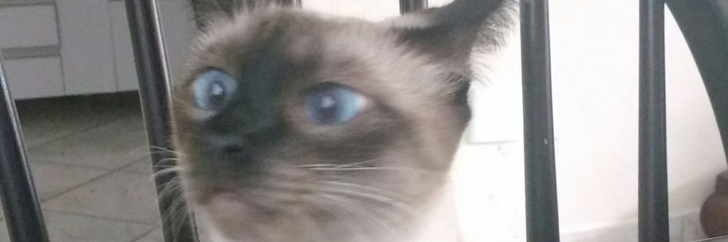 _bebelagb's profile banner image
