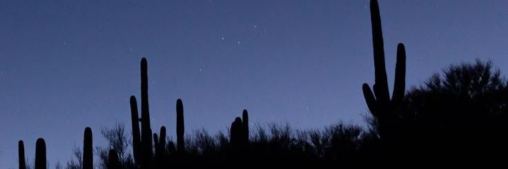 Pedro das Graças banner