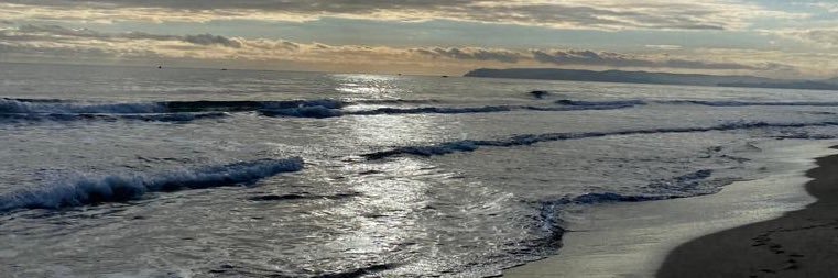 sandra2674's profile banner image