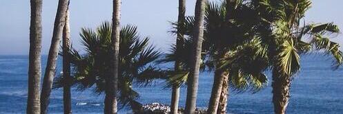 Mylenium_A's profile banner image