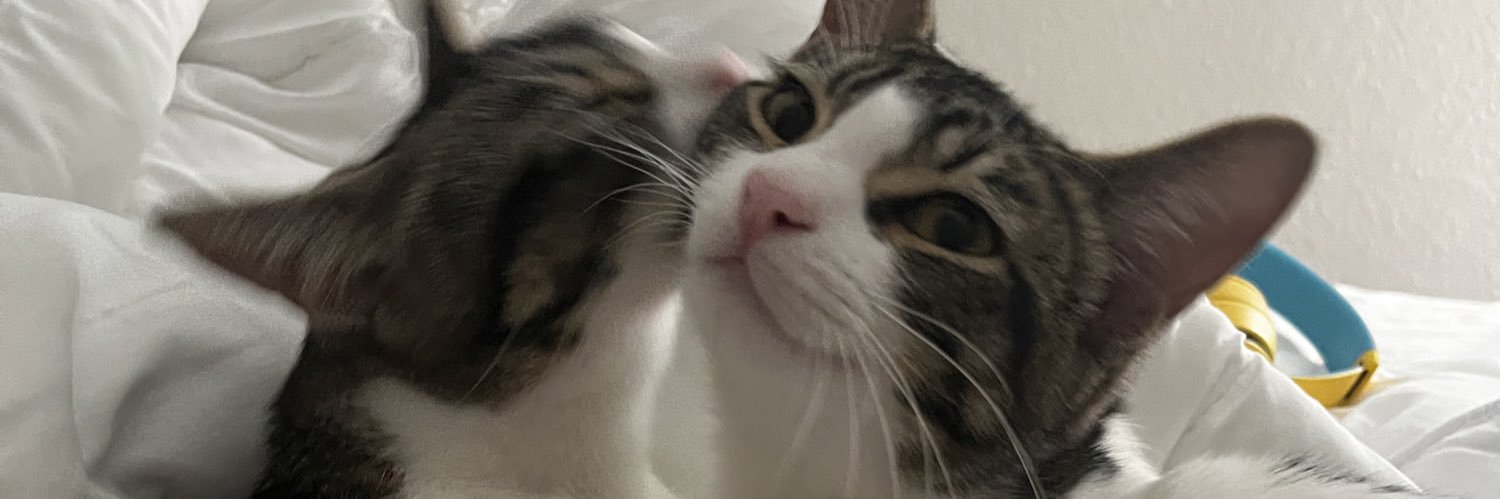 saravadyme's profile banner image