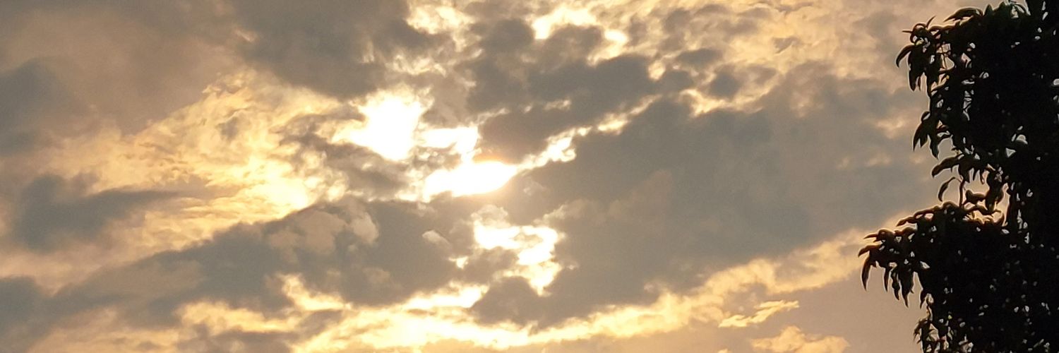 aya𐚁 banner