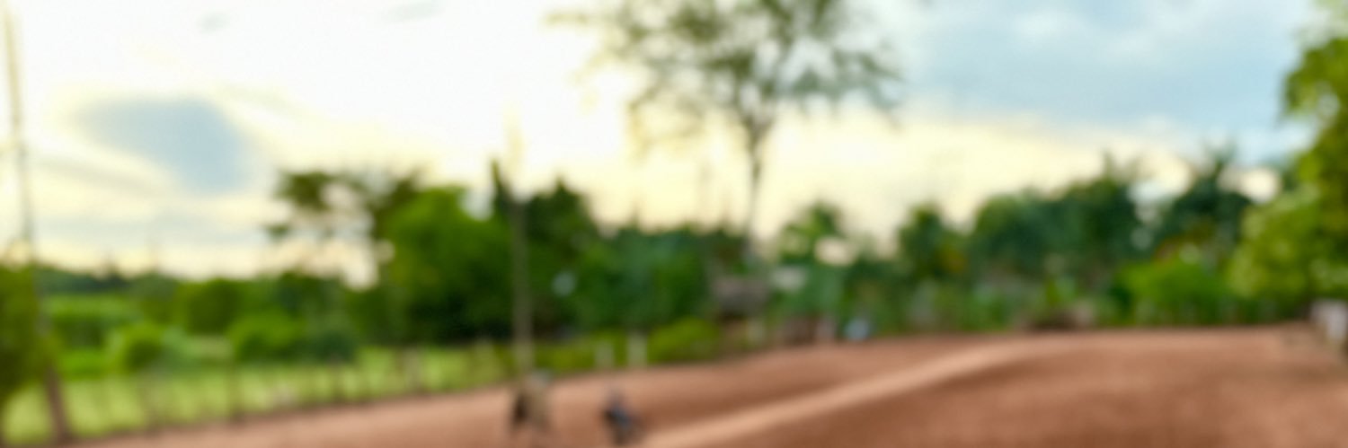 Gamorandii's profile banner image