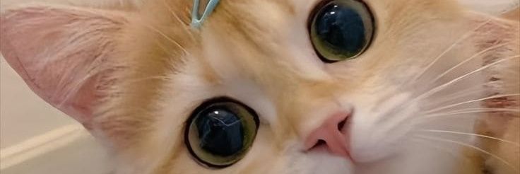 kyaa_ banner