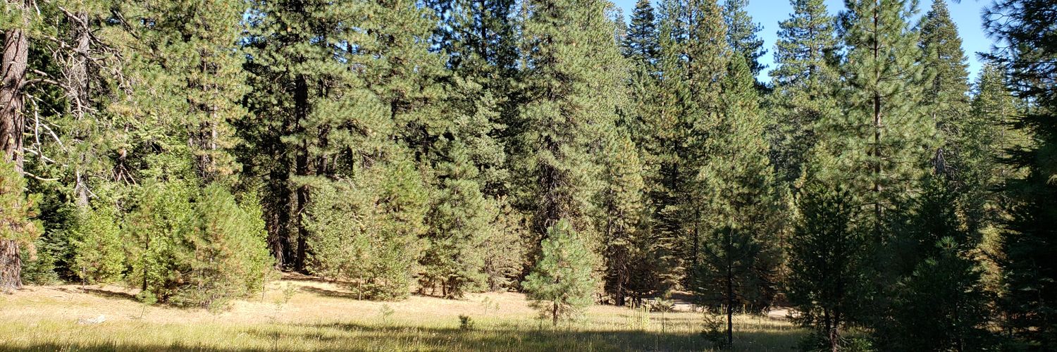 g0ldnugget's profile banner image