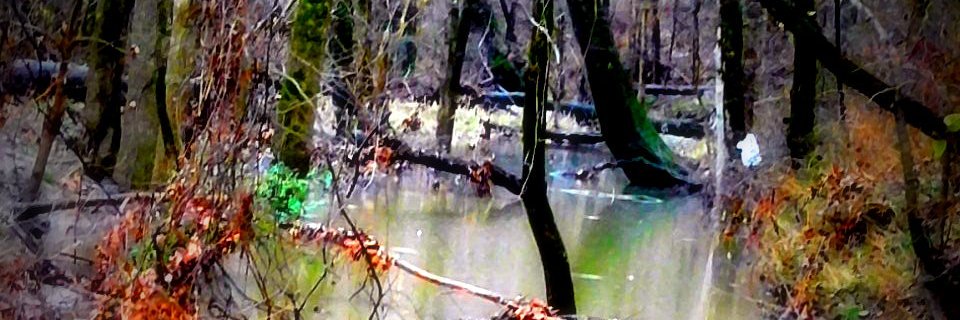 kathy_tibbits's profile banner image