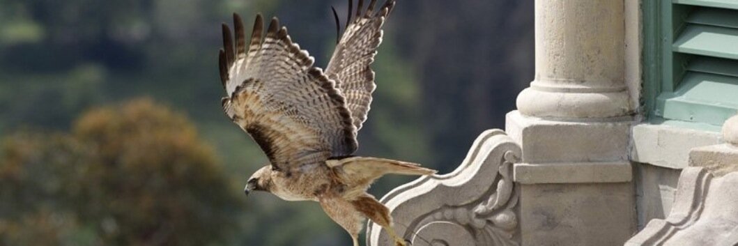 NateEnglund's profile banner image