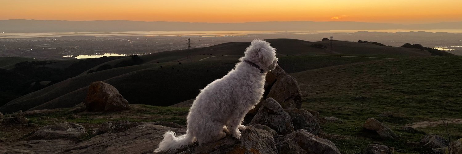 Niranjan Nagar banner