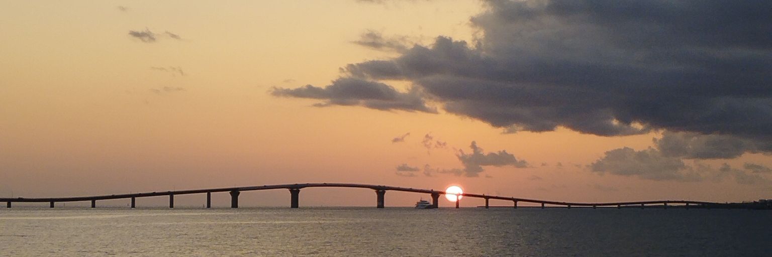 step385's profile banner image