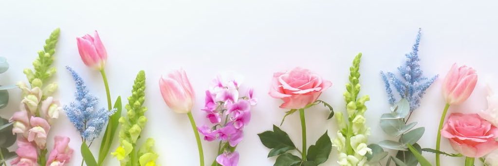 AyyyyMariaaaa's profile banner image