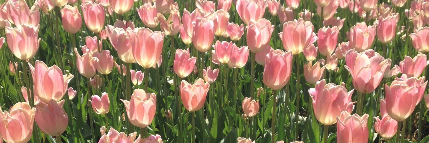 bethrattley's profile banner image