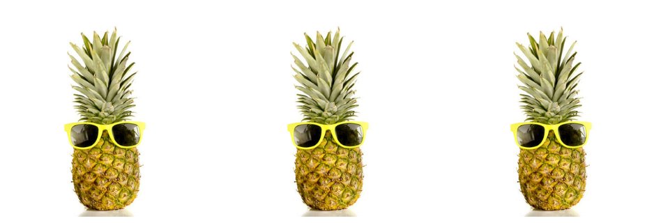 Madeira_PR's profile banner image