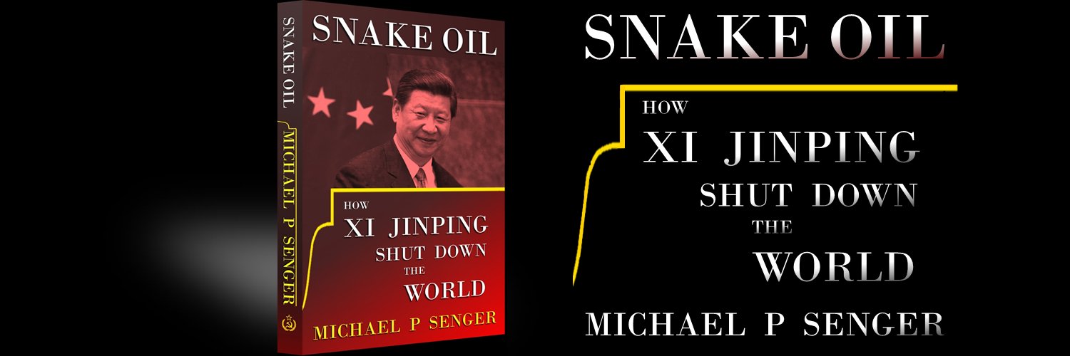 Michael P Senger banner