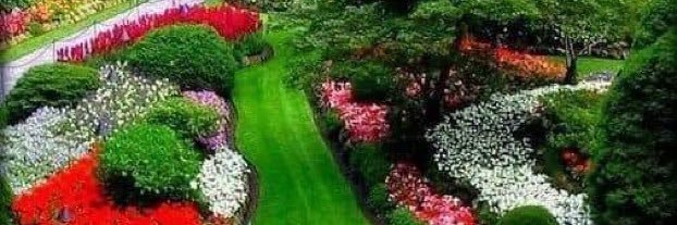 مخاوي الذيب💙70 banner