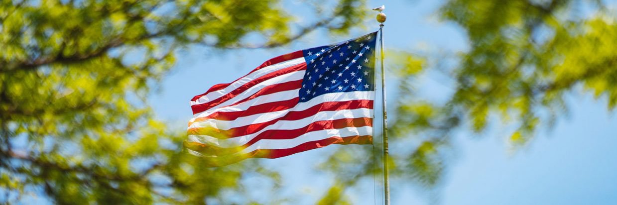 What {kind} of American are you? banner