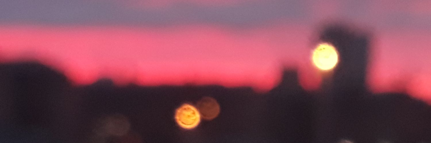 daianacejas7's profile banner image