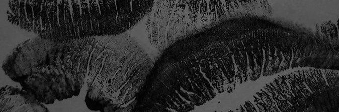 KK_normado's profile banner image