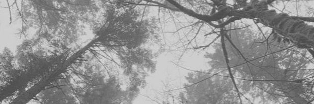 AmyCastillok's profile banner image