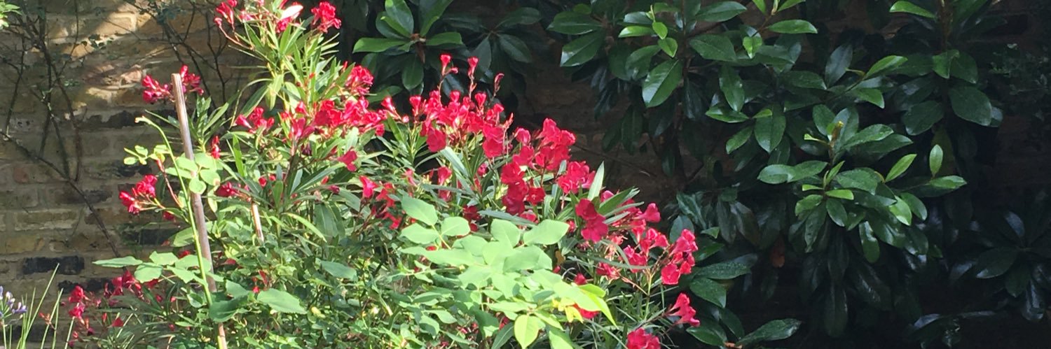 Marion Friend banner