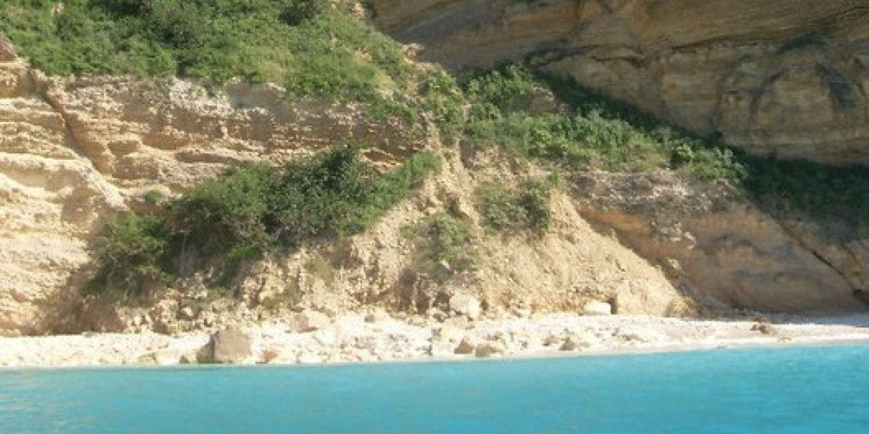 Dr. Karen Leonard banner