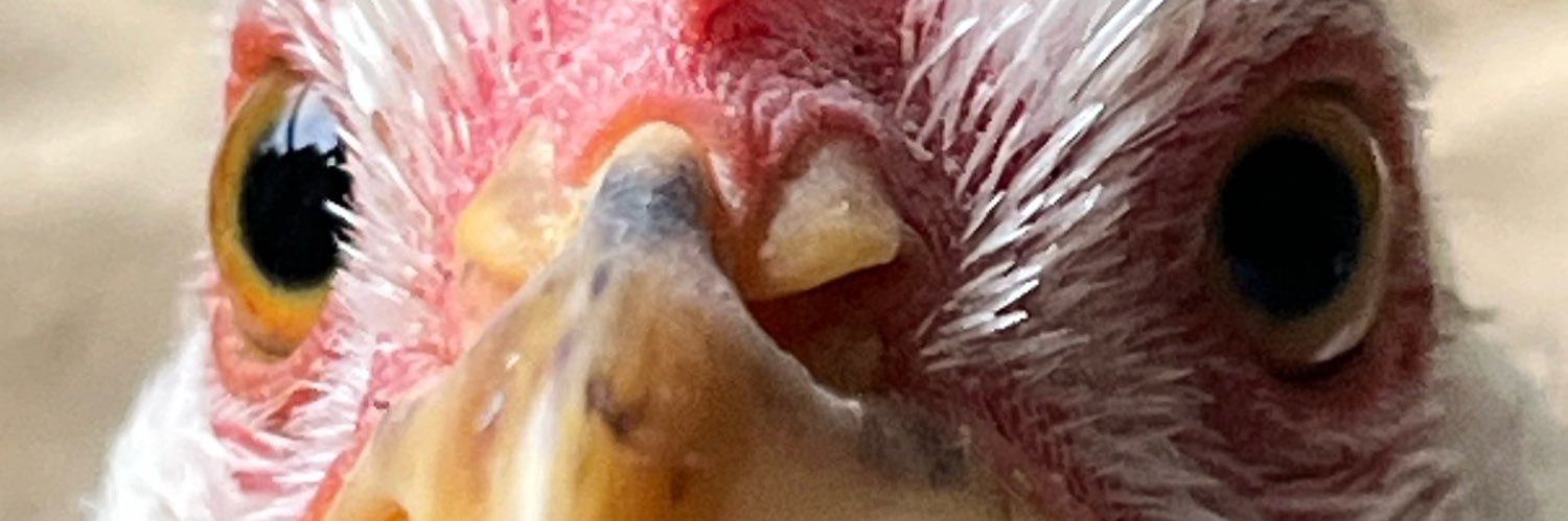 TheMarketSinner's profile banner image