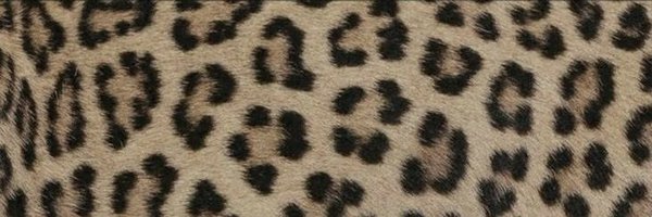 ggukdev97 Profile Banner