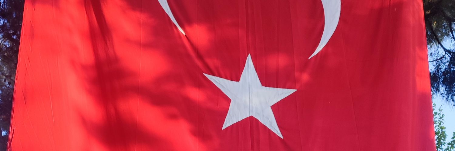 Alp Tigin banner