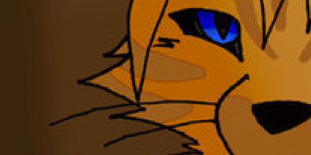 TheAmberHeart's profile banner image