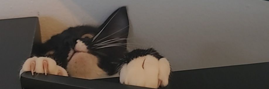 JacobMox's profile banner image