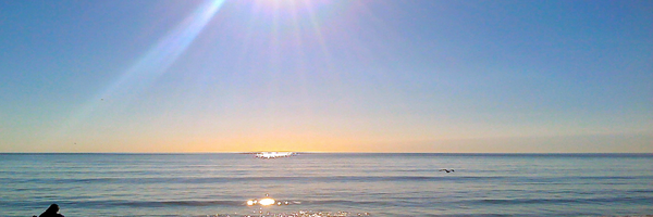 crystal63 Profile Banner