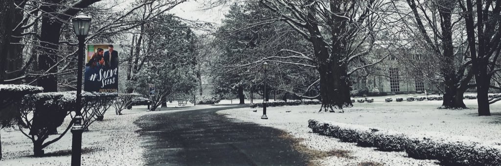 BriLackowski's profile banner image