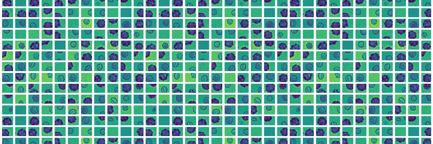NEXTSCREEN-MSCA's banner