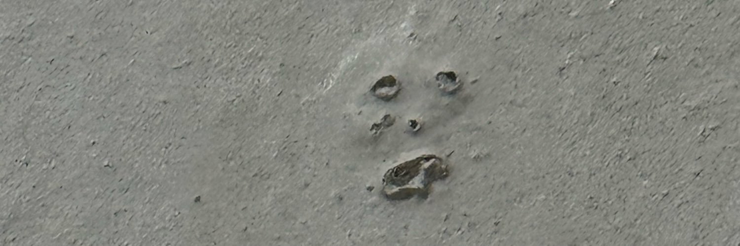 etaaayul's profile banner image