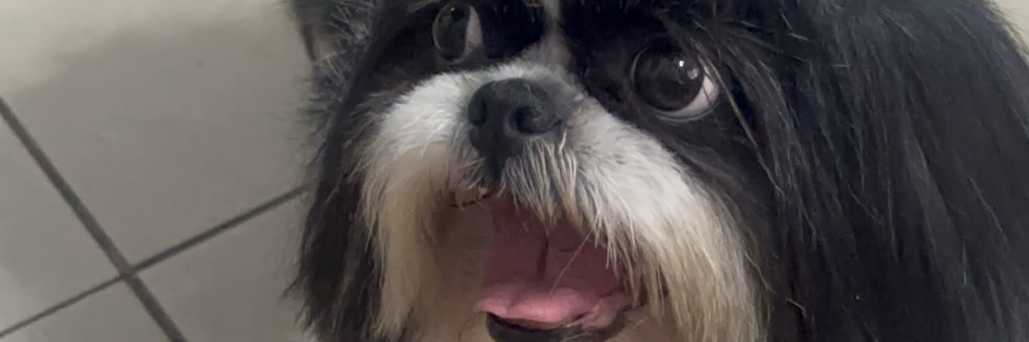 gnmvic's profile banner image