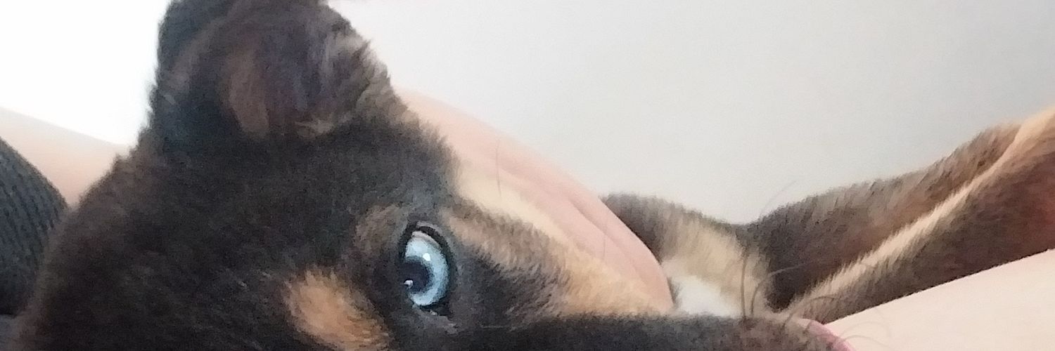 bcrrbcr's profile banner image