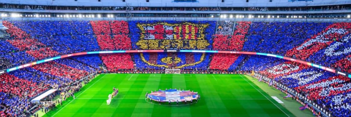 Gavi o plomo banner