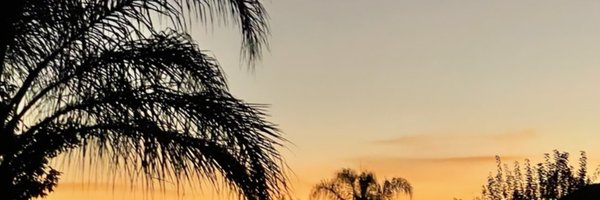 ThirunaNaidoo Profile Banner