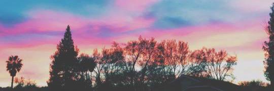 katymichii's profile banner image