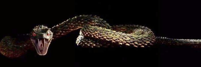 𝗠𝗲𝗲𝘁 𝗺𝗲 𝗮𝘁 𝗺𝗶𝗱𝗻𝗶𝗴𝗵𝘁 ★ banner