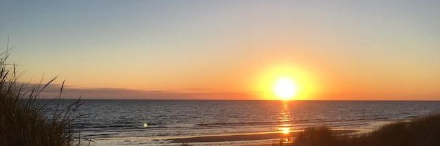 Nikolai Onken banner