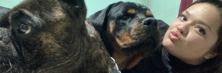 FloAngelillo's profile banner image