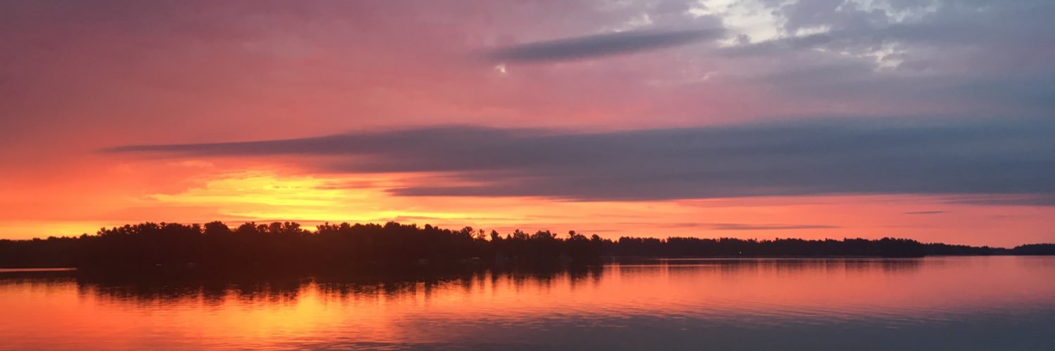 dieboldemily's profile banner image
